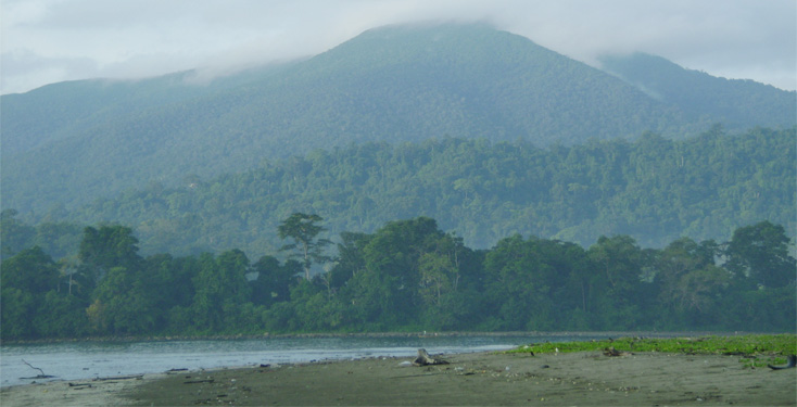 photos of saddle peak andaman